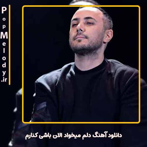 دانلود آهنگ ناصر زینعلی دلم میخواد الان باشی کنارم